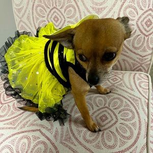 Halloween Bumblebee Costume